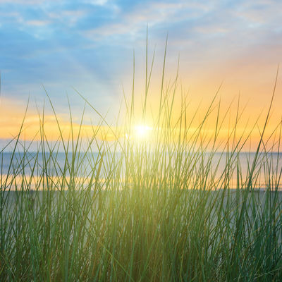 Sonnenschein am grünen Ostseedünenstrand