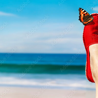 AdobeStock_276548094_Preview