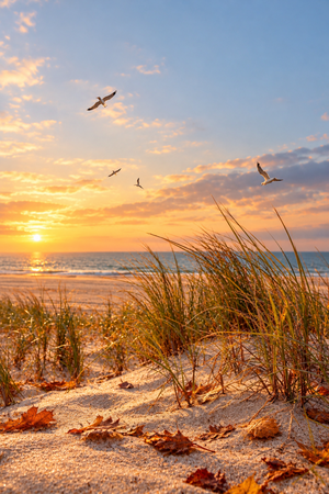 Goldener Herbststrand bei Sonnenuntergang